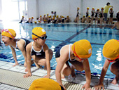 トキワ松学園小学校