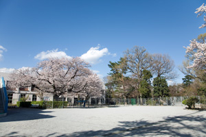 �����w�����������΂ݗc�t��