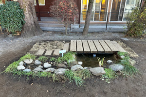 �����w�����������΂ݗc�t��