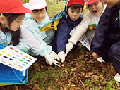 開智小学校(総合部)