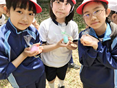 晃華学園小学校