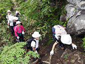 聖ステパノ学園小学校・中学校